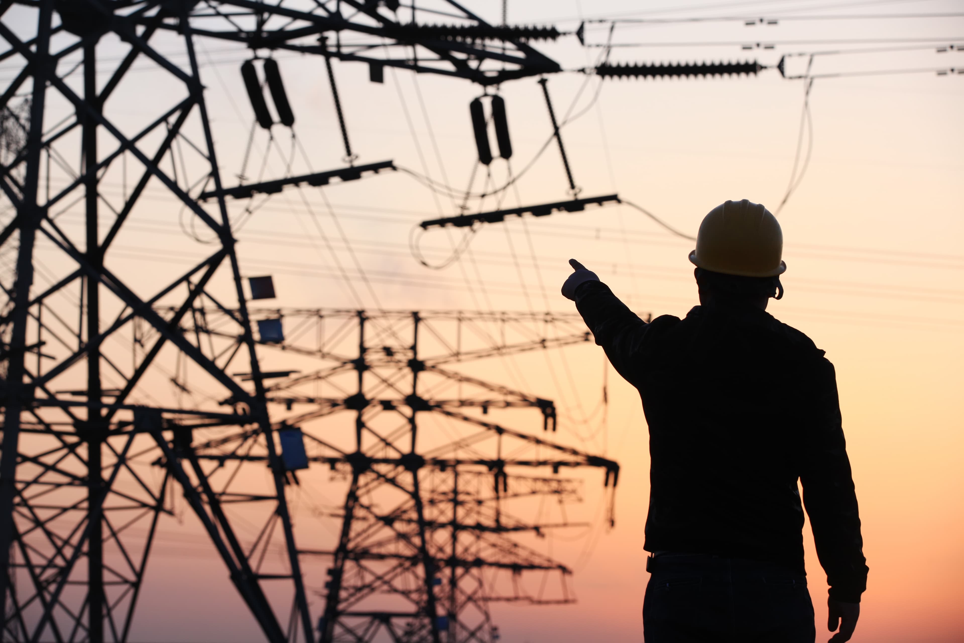 新電力切り替えサービス